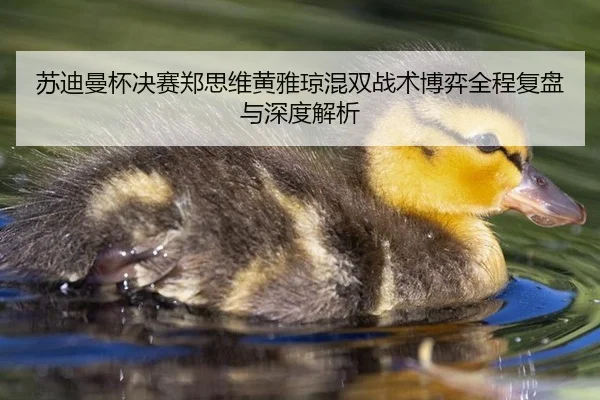 苏迪曼杯决赛郑思维黄雅琼混双战术博弈全程复盘与深度解析