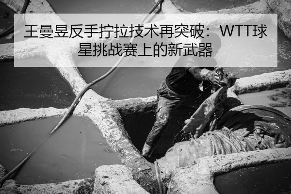 王曼昱反手拧拉技术再突破：WTT球星挑战赛上的新武器