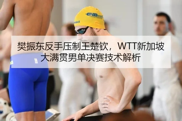樊振东反手压制王楚钦，WTT新加坡大满贯男单决赛技术解析