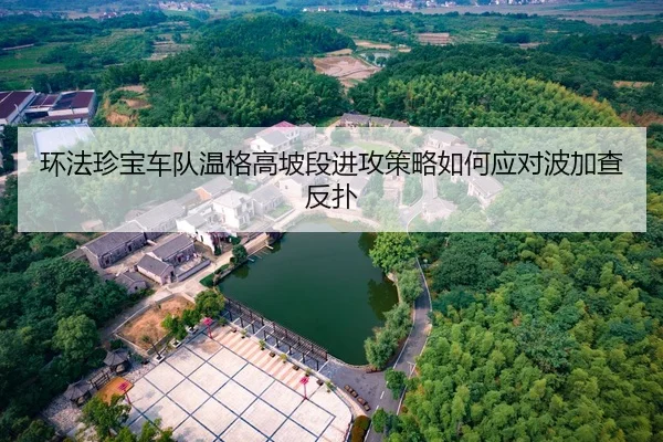 环法珍宝车队温格高坡段进攻策略如何应对波加查反扑