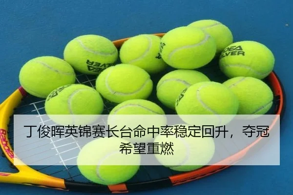ding-jun-hui-ying-jin-sai-zhang-tai-ming-zhong-lv-wen-ding-hui-sheng-duo-guan-xi-wang-zhong-ran-3-203.jpg