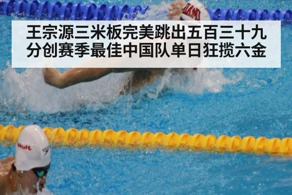 王宗源三米板完美跳出五百三十九分创赛季最佳中国队单日狂揽六金